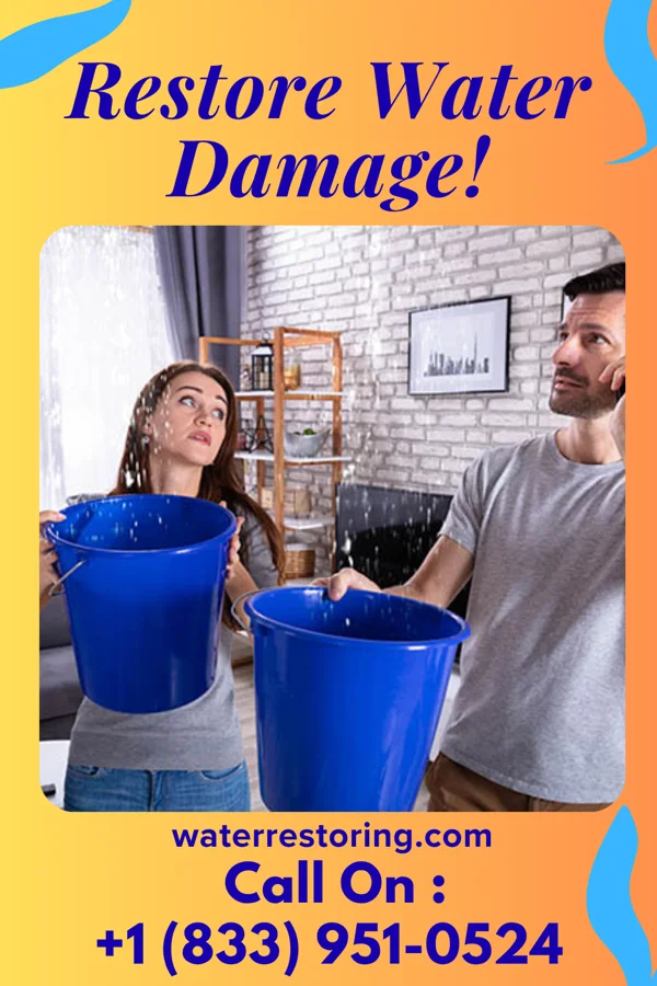 water restoration Silver Water Removal Contractors Hastings-on-Hudson