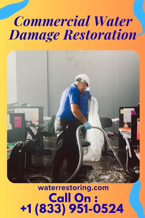 Commercial Water Damage Restoration in Hastings-on-Hudson, NY