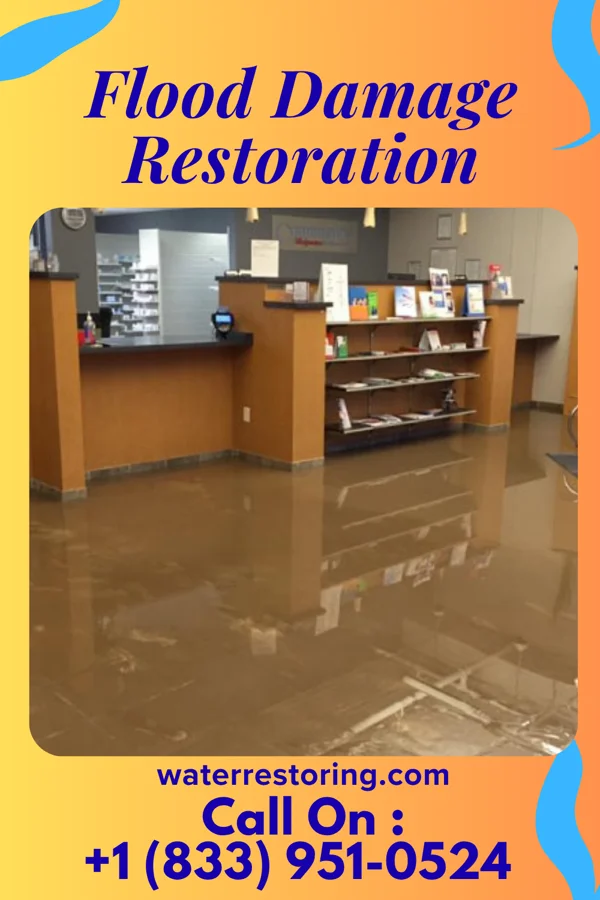 Flood Damage Restoration in Hastings-on-Hudson, NY