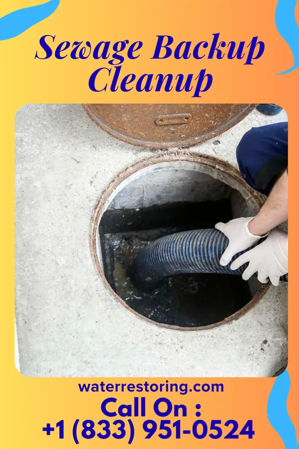 Sewage Backup Cleanup in Hastings-on-Hudson, NY