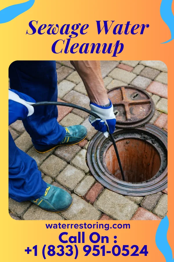 Sewage Water Cleanup in Hastings-on-Hudson, NY