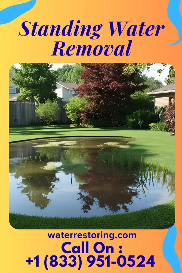 Standing Water Removal in Hastings-on-Hudson, NY